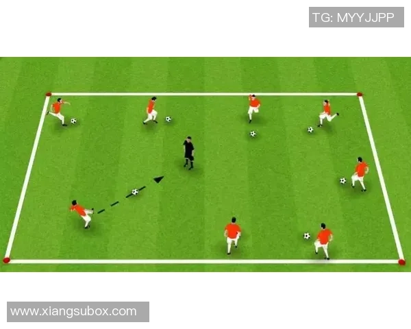 上海足球队在灵活性排行榜中荣登第七名展现出强大实力与潜力