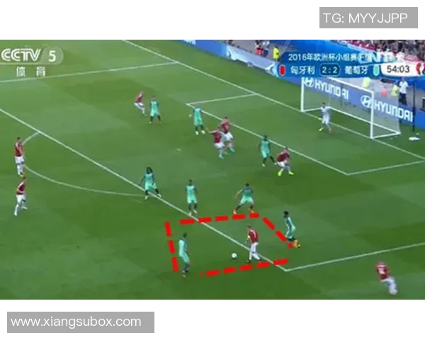 成都排球队区域防守体系解析及战术应用研究