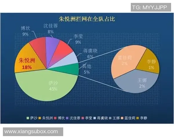 杭州排球队灵活性深度对比分析与发展潜力探讨