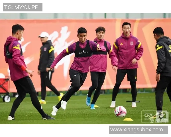 成都街舞队的区域防守策略与技巧深度解析