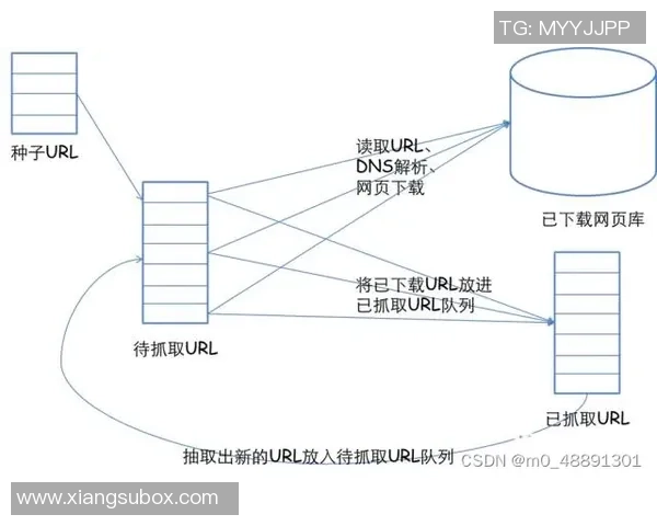 成都滑板队的阵地战策略分析与战术解读