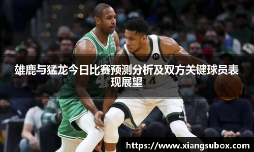 雄鹿与猛龙今日比赛预测分析及双方关键球员表现展望
